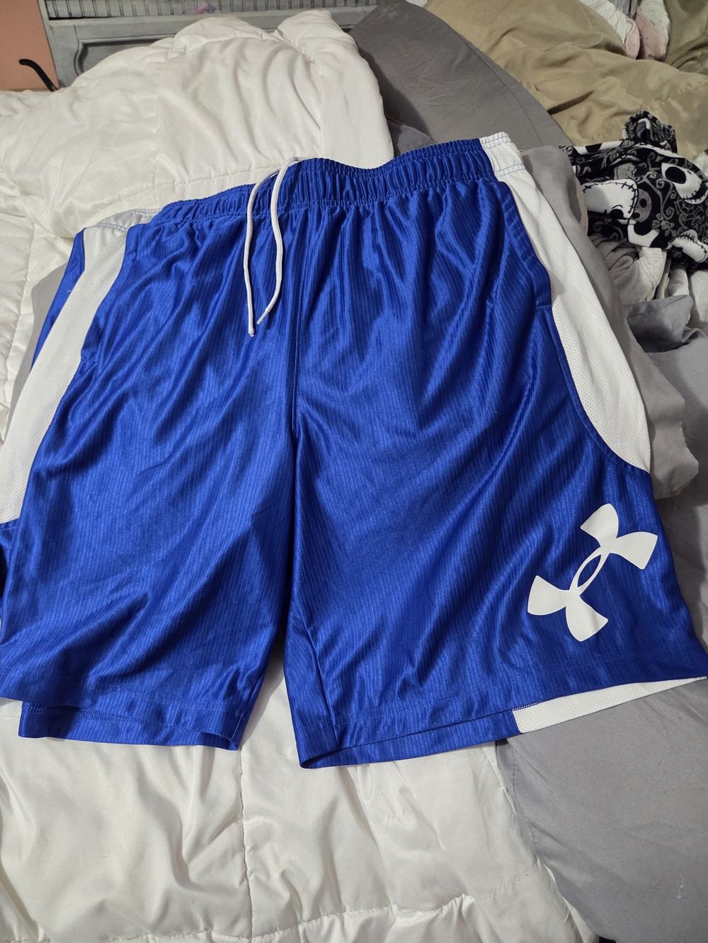 Jordan Men’s Royal Blue Athletic Shorts with White Accents